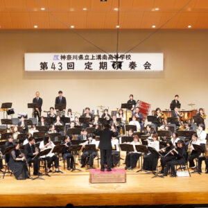 hpspringfes2026data (20)